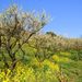 20080319_motherfarmyokohamatrip_0141